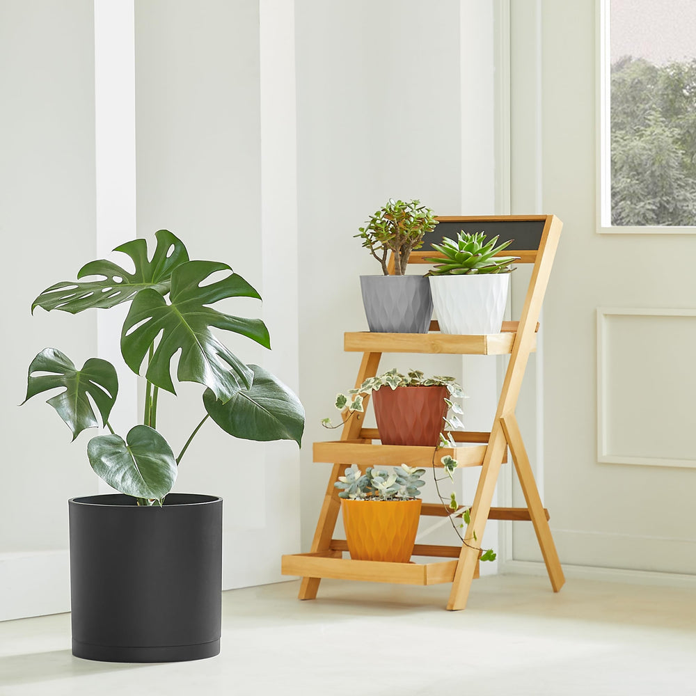 FaithLand maceta en soporte mid-century eleva la planta con elegancia