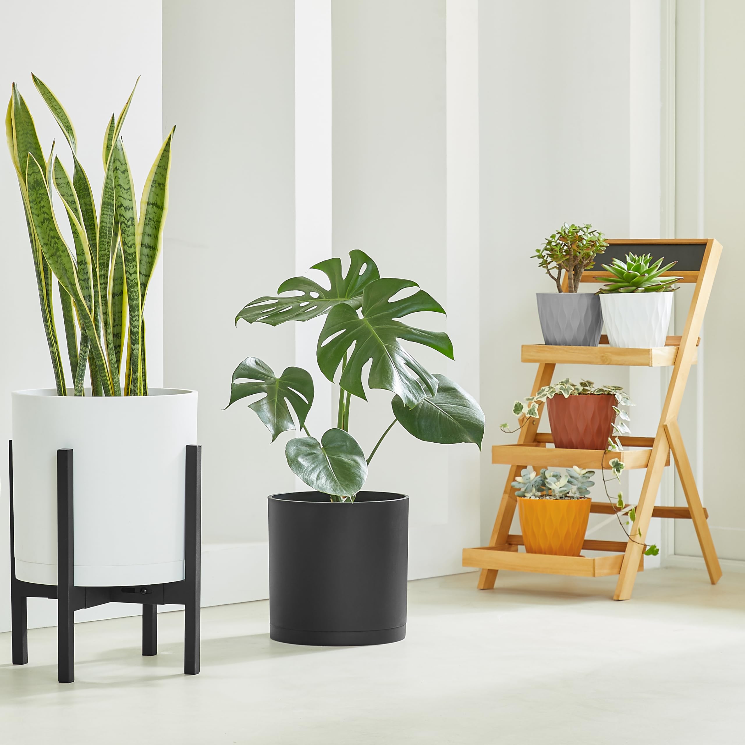 FaithLand platillo desmontable que recoge exceso de agua y facilita limpieza