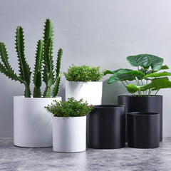 FaithLand planter used as cachepot with nursery pot inside for quick styling benefit