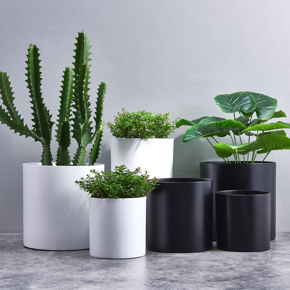 FaithLand mesh screen and removable plug displayed, simplifies direct potting and moisture control