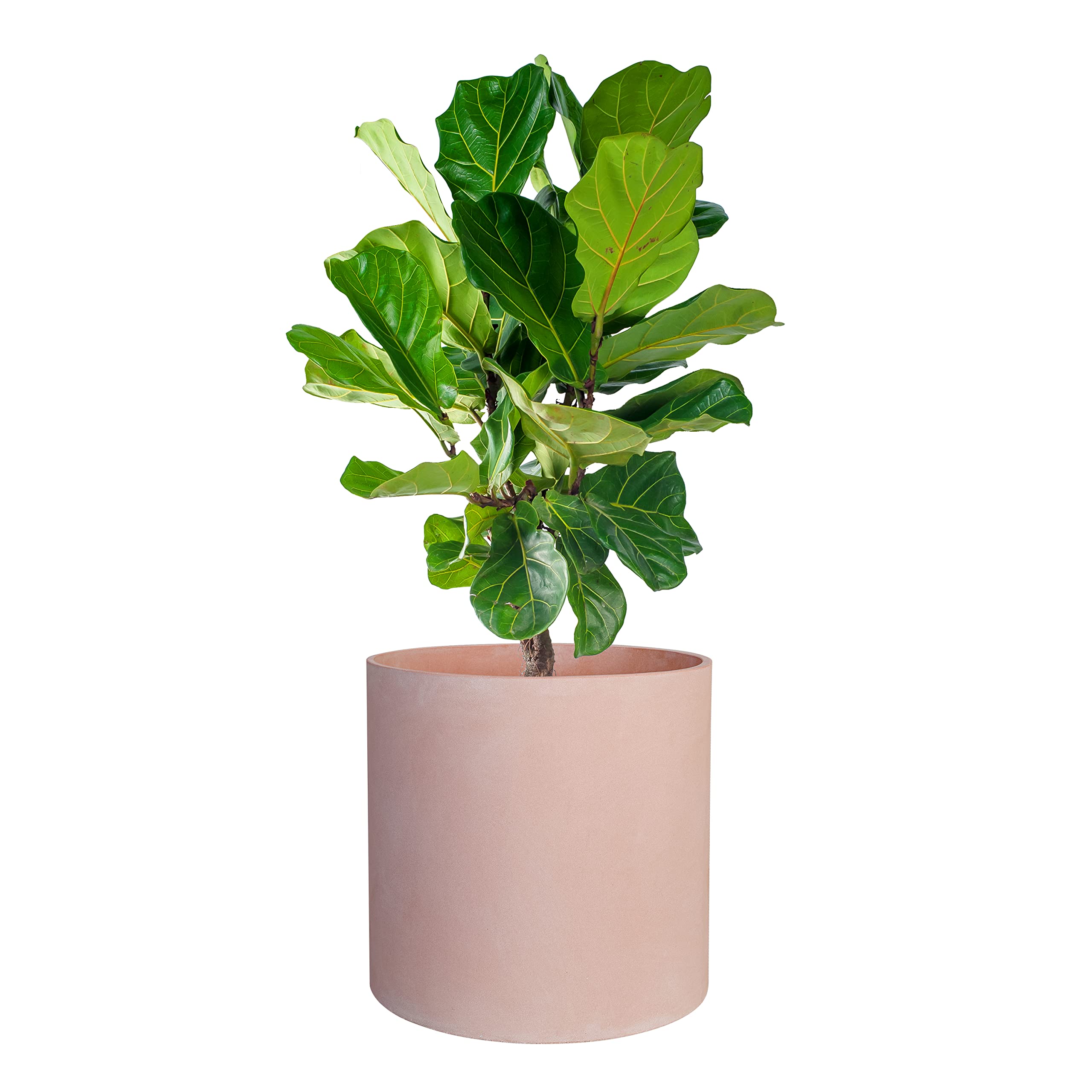 FaithLand planter on balcony showing weatherproof finish and outdoor use
