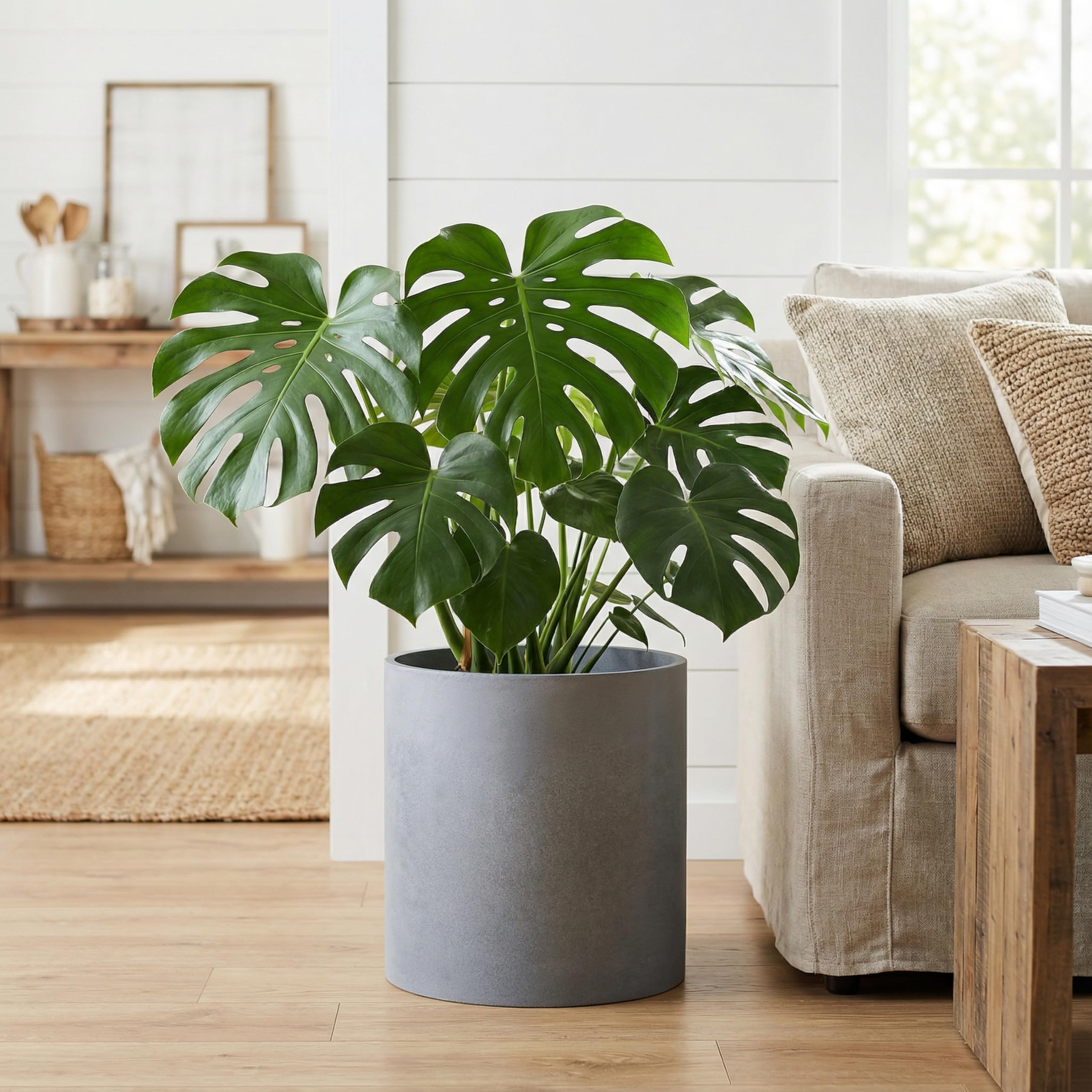 FaithLand planter styled with fiddle leaf fig demonstrating bold indoor statement
