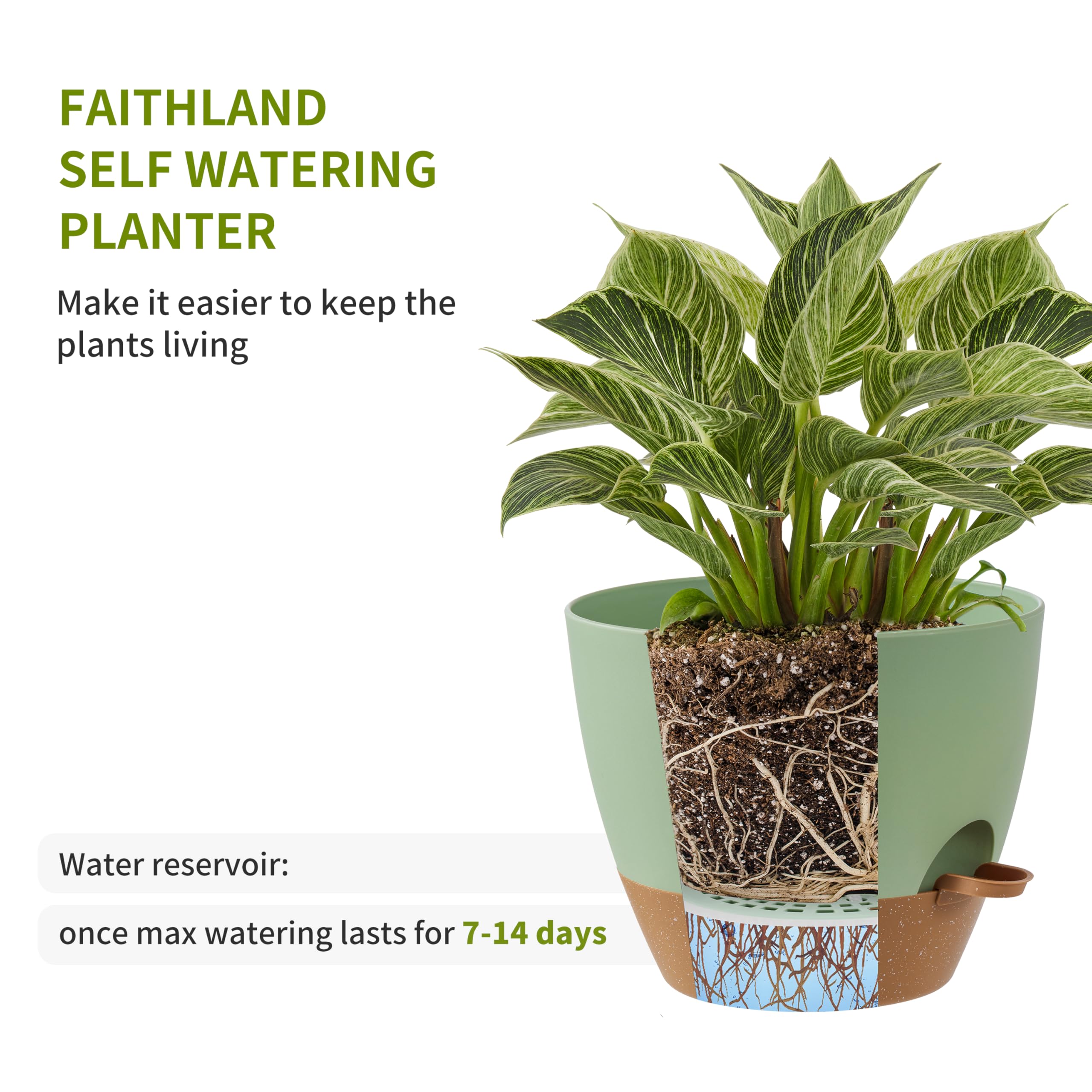 FaithLand pot on windowsill with plant, keeps indoor greenery low-maintenance