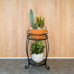 FaithLand plant stand in living room displaying plants neatly and saving floor space