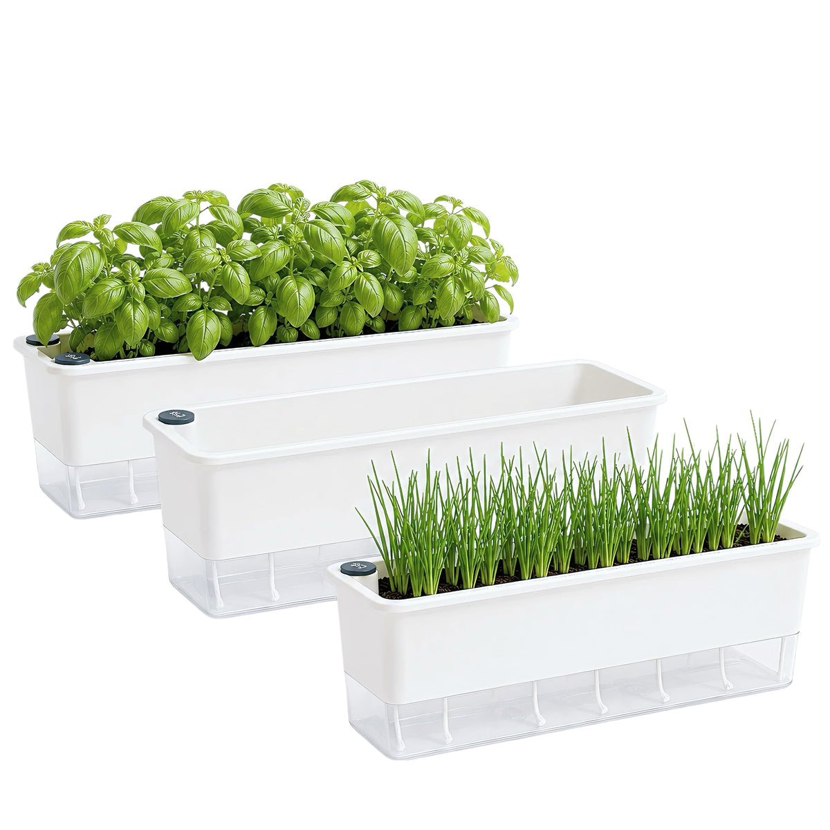 FAMZ front view showing three white rectangular planters and tidy herb display benefit low maintenance