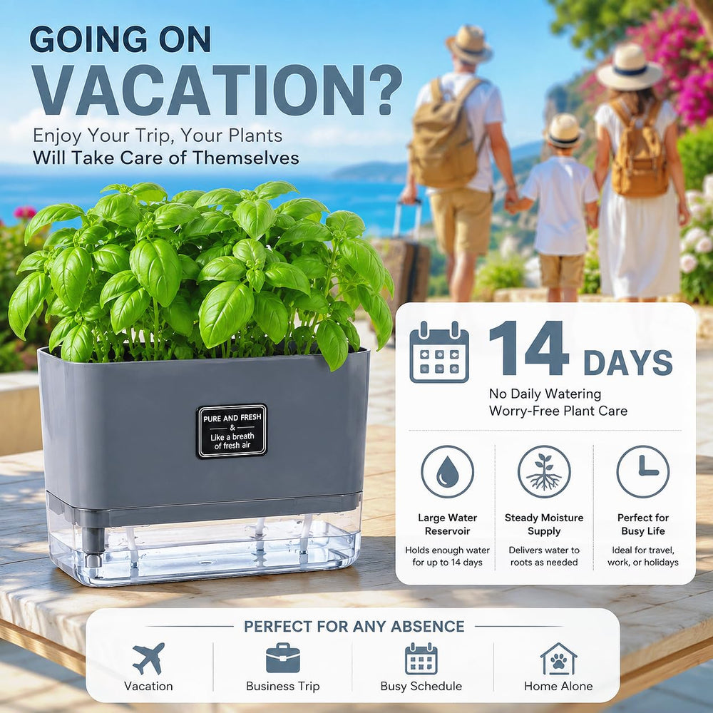 FAMZ planter on an office desk adding low-maintenance greenery and visual calm