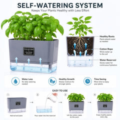 FAMZ planter on a kitchen windowsill growing fresh herbs for easy access