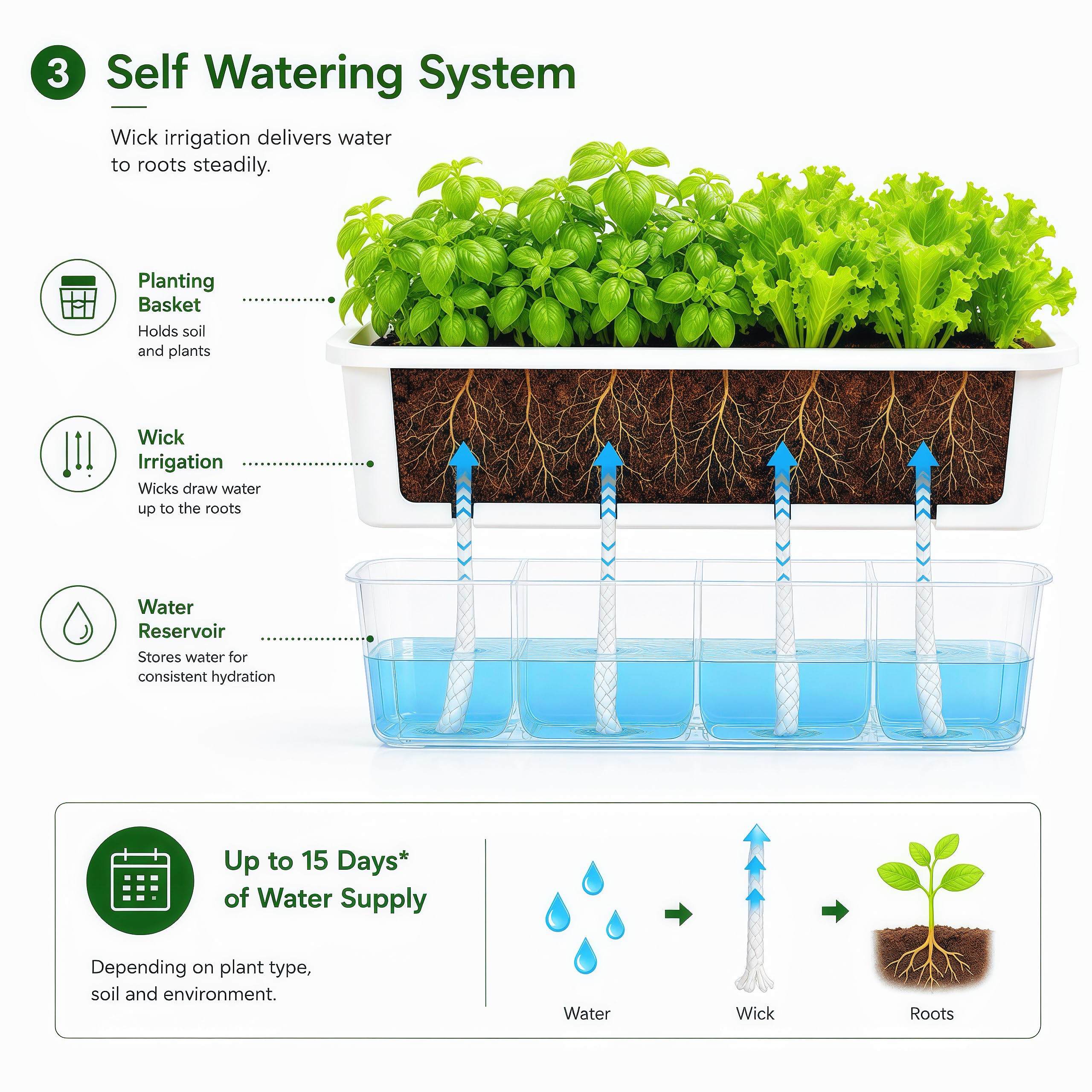 FAMZ planter next to ruler showing 17 inch length for scale and space planning benefit