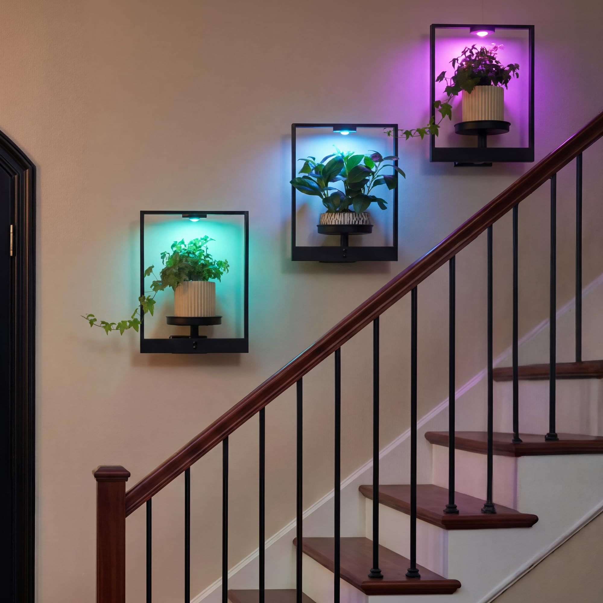 FancyPlus lifestyle living room display bringing plants and light together
