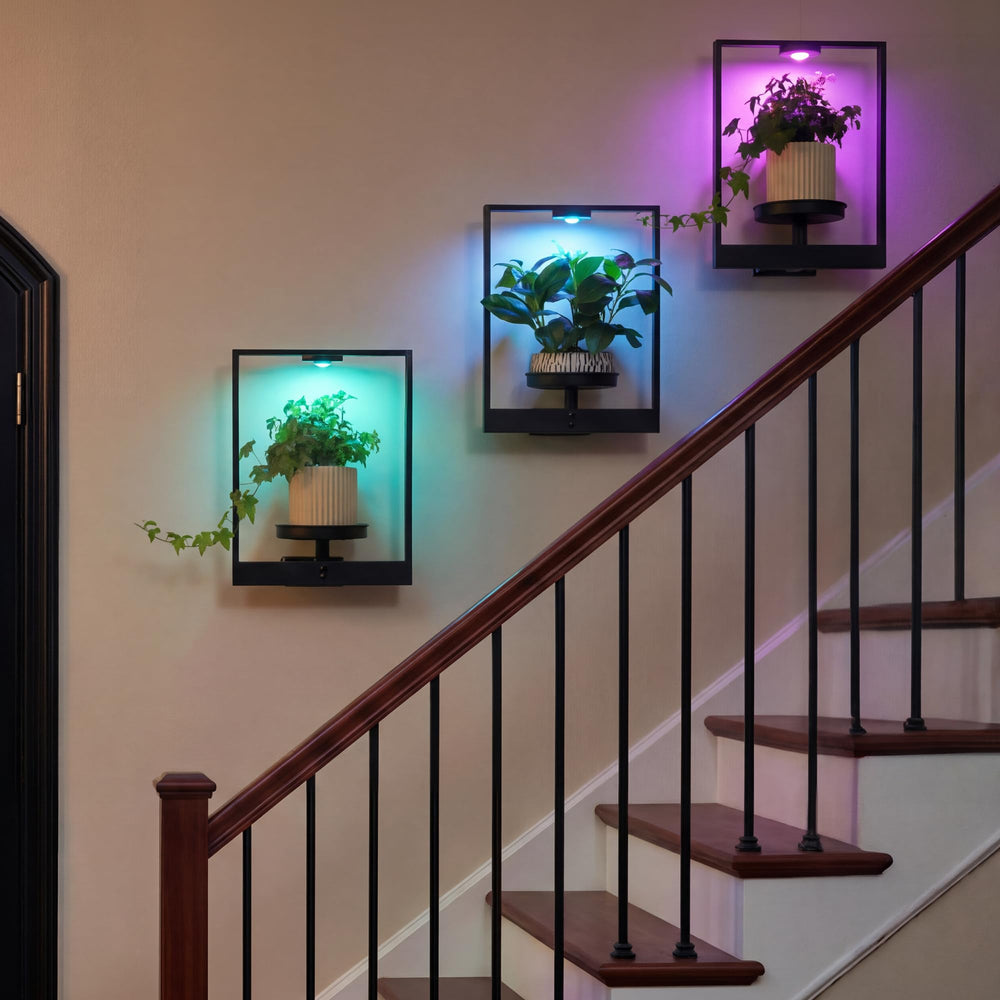 FancyPlus lifestyle living room display bringing plants and light together
