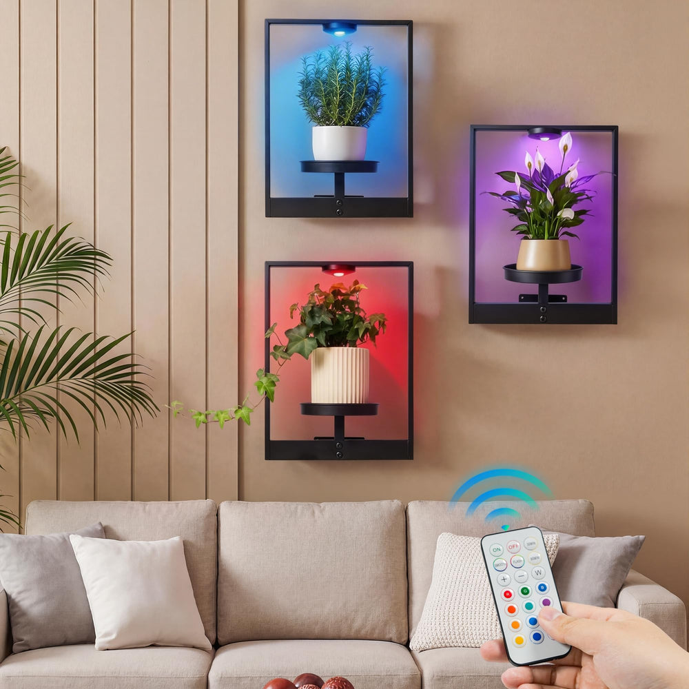 FancyPlus nighttime ambience with lights creating cozy atmosphere
