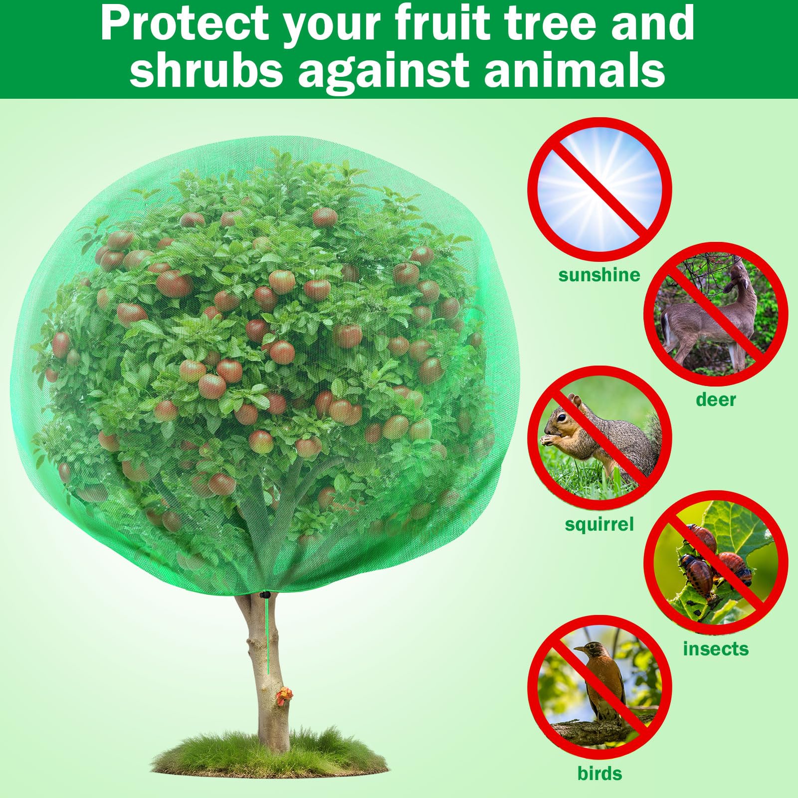 Fanfanwin net bag covering a fruit tree in garden showing protection of fruit and branches