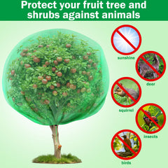 Fanfanwin net bag covering a fruit tree in garden showing protection of fruit and branches