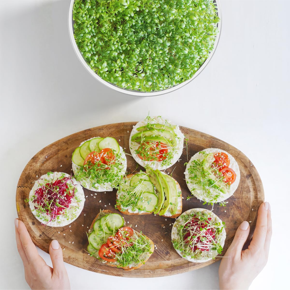 FANHAO trays in use on kitchen counter demonstrating compact indoor sprouting