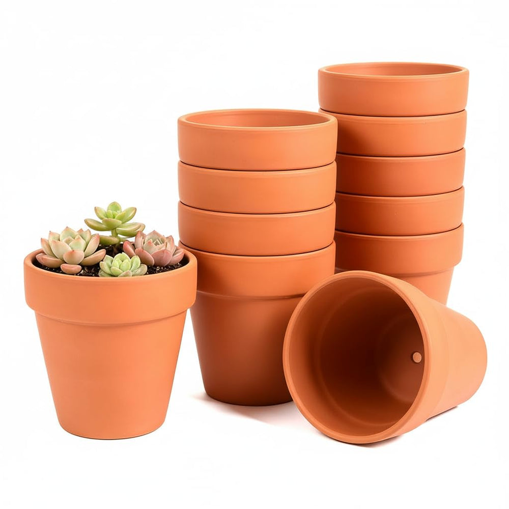 FANOBL front view of 24 white terracotta pots showing quantity benefit