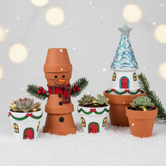 FANOBL pots in use with succulents on a tabletop showing compact display benefit