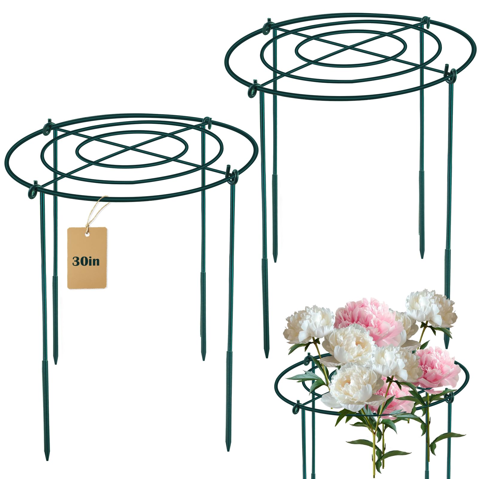 Fantang front view of two assembled peony grid cages showing stable support and garden blending