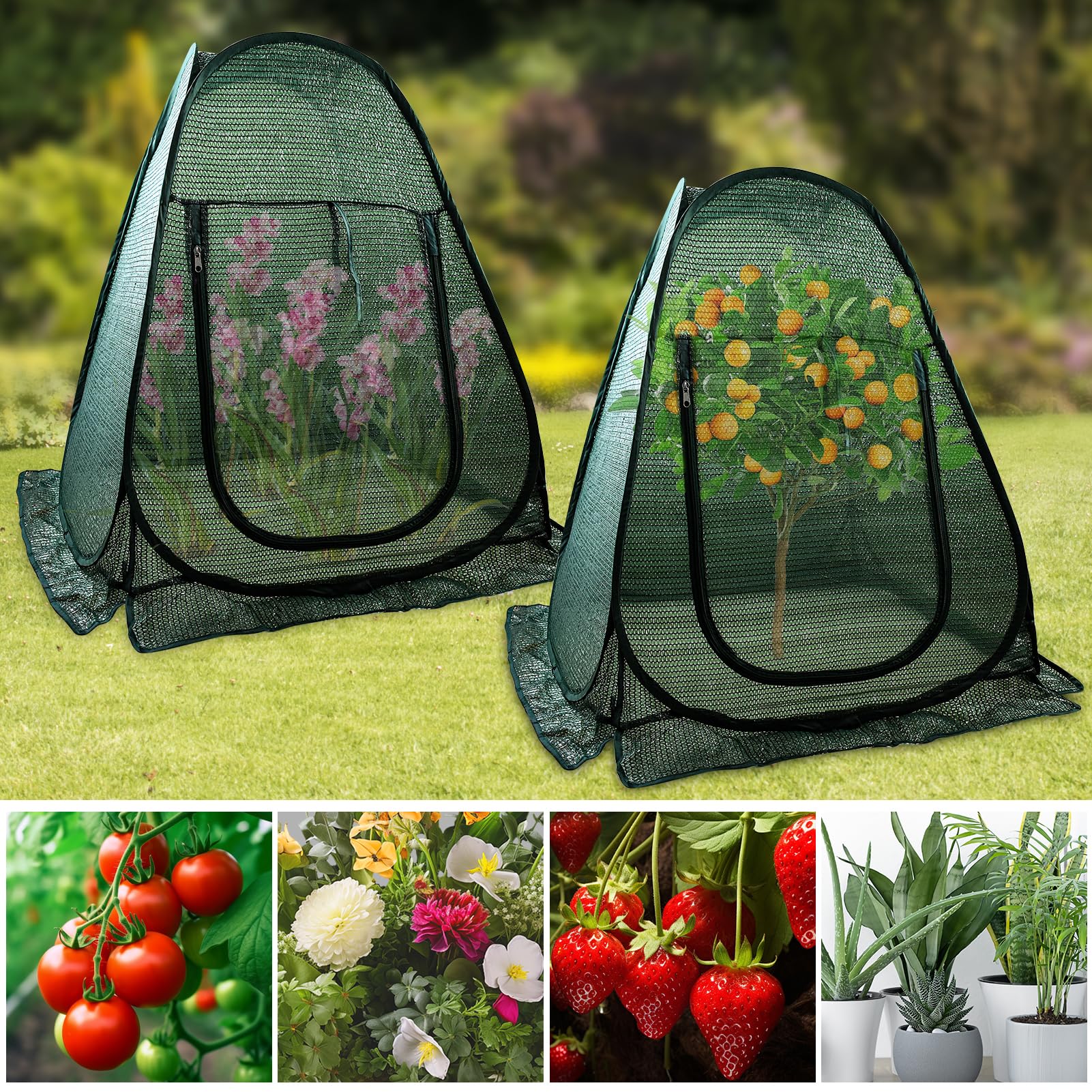 Fantang tent on balcony protecting potted plants and seedlings