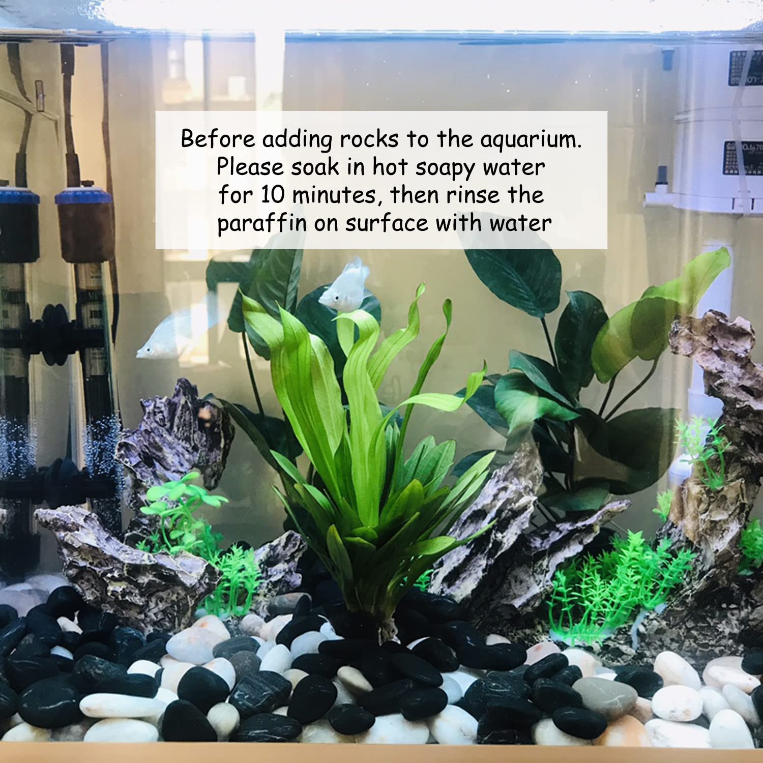 FANTIAN stones cleaned and placed as aquarium base, safe after rinse