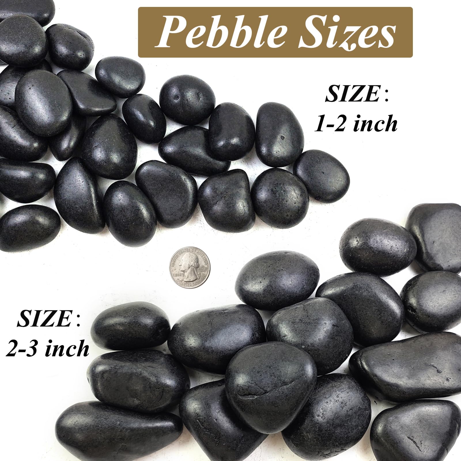 FANTIAN pebbles used as aquarium base providing natural-looking substrate