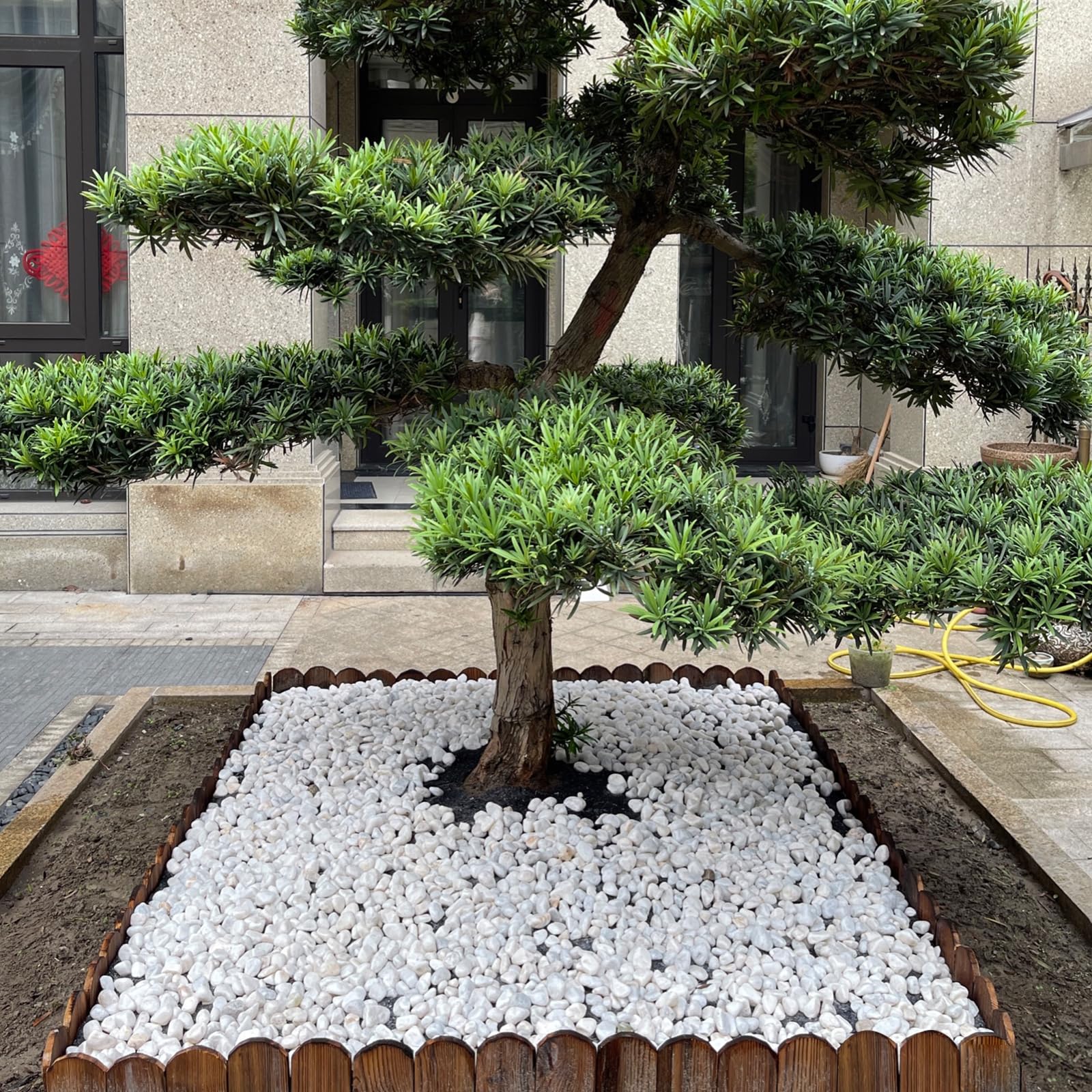 FANTIAN stones forming aquarium bottom layer providing natural decorative base