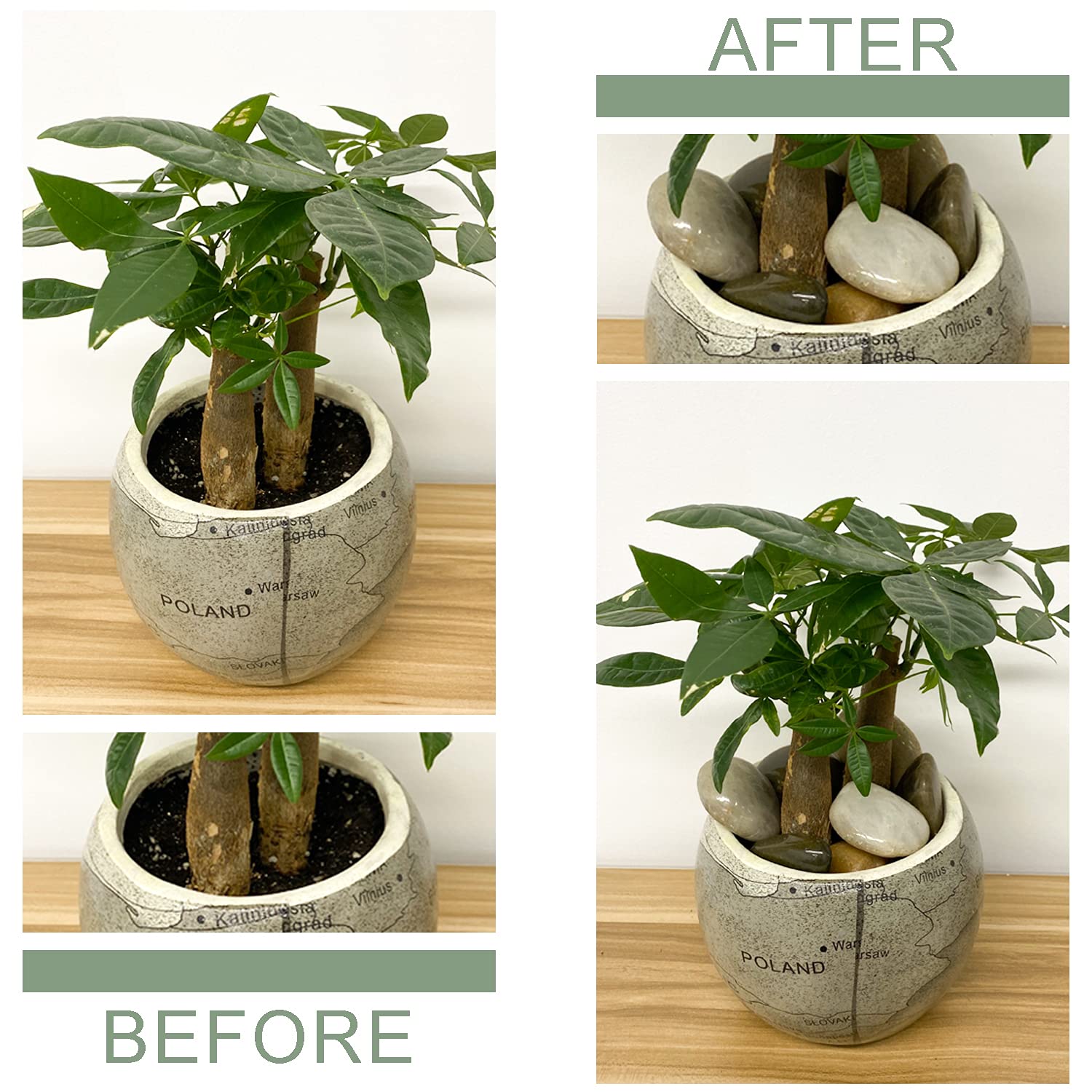 FANTIAN pebbles as aquarium bottom layer anchoring décor and improving aesthetics