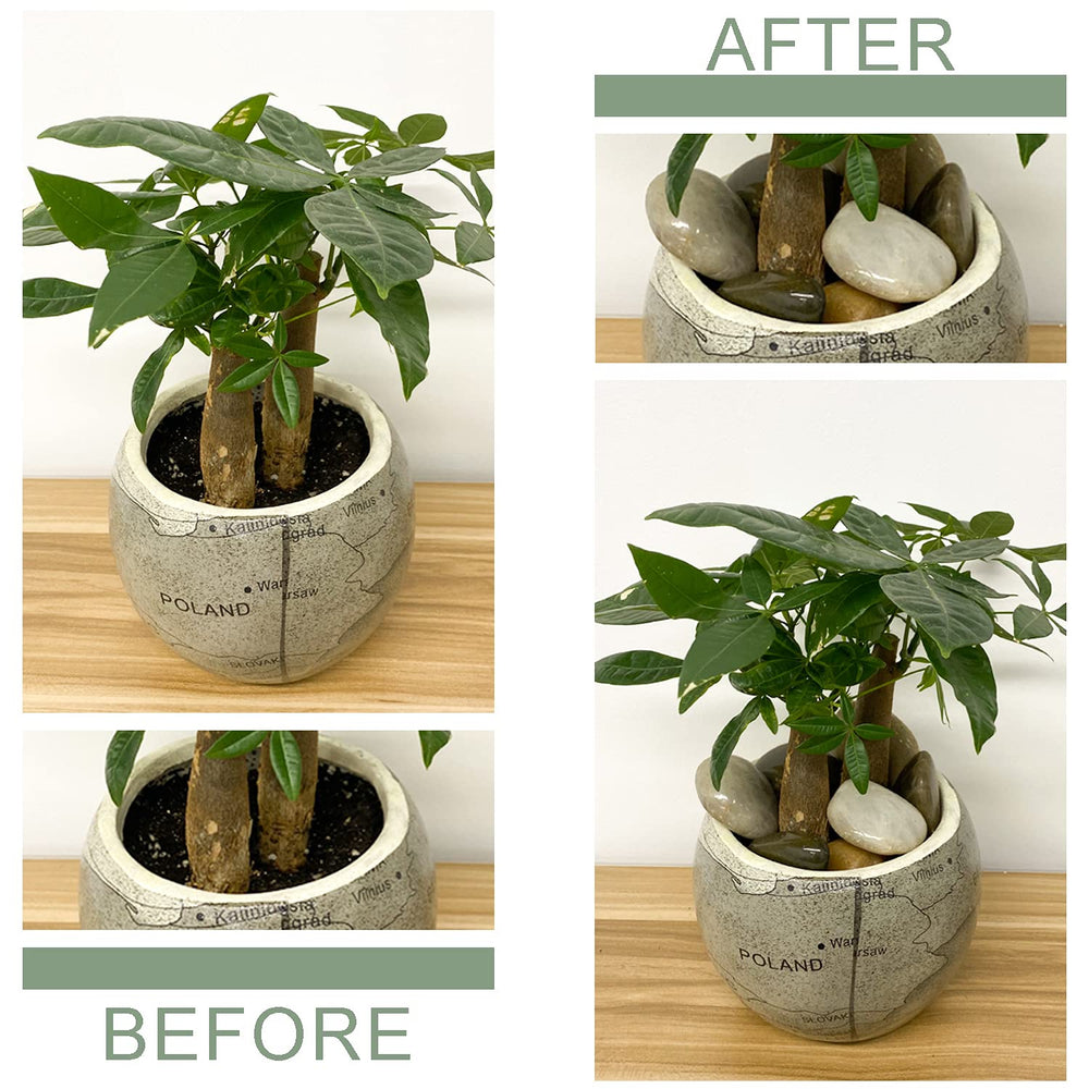 FANTIAN pebbles as aquarium bottom layer anchoring décor and improving aesthetics