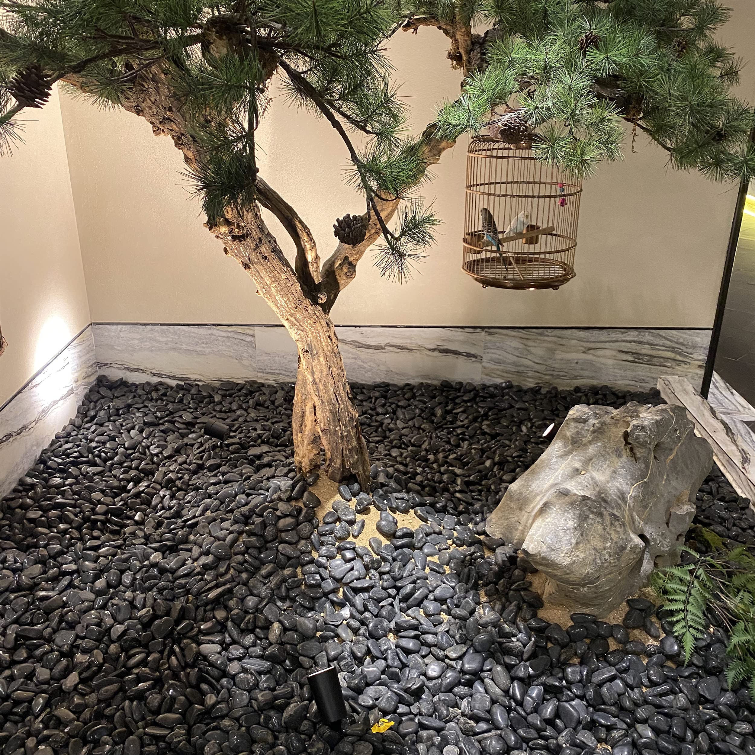 FANTIAN rocks in an aquarium after cleaning delivering tidy aesthetics