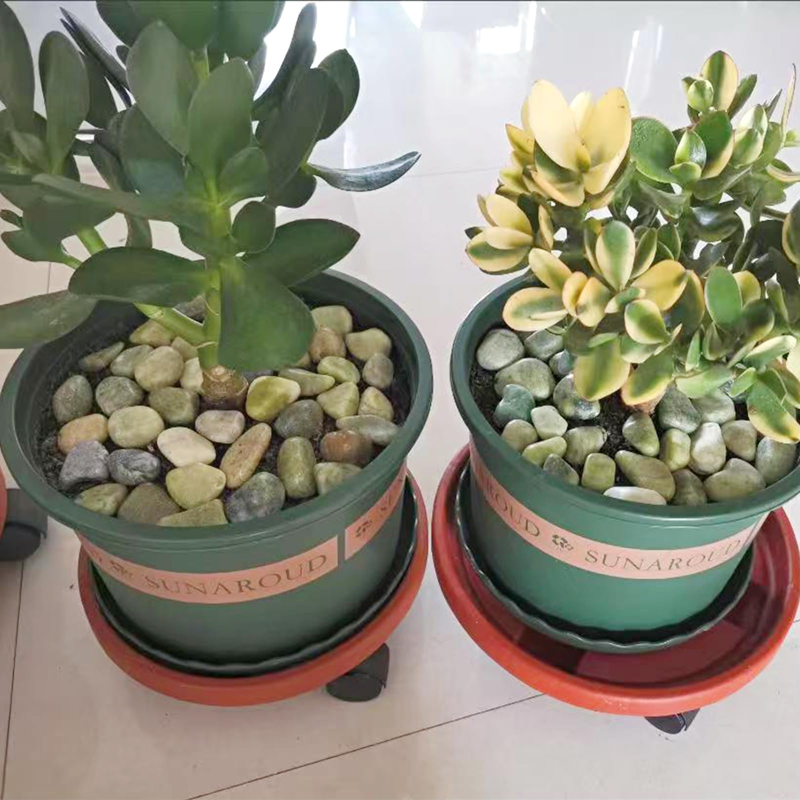 FANTIAN crafting and decor setup using polished rocks for centerpiece and art projects