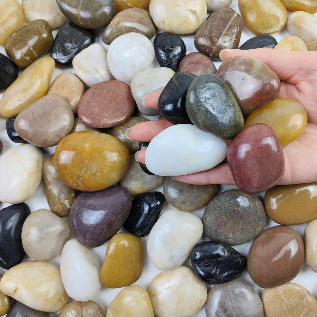 FANTIAN front of bag showing 20 lbs weight and mixed pebbles benefit: easy project start