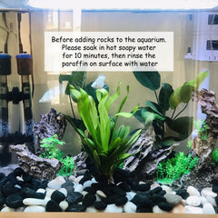 FANTIAN rocks top-dressing a potted plant offering moisture retention benefit