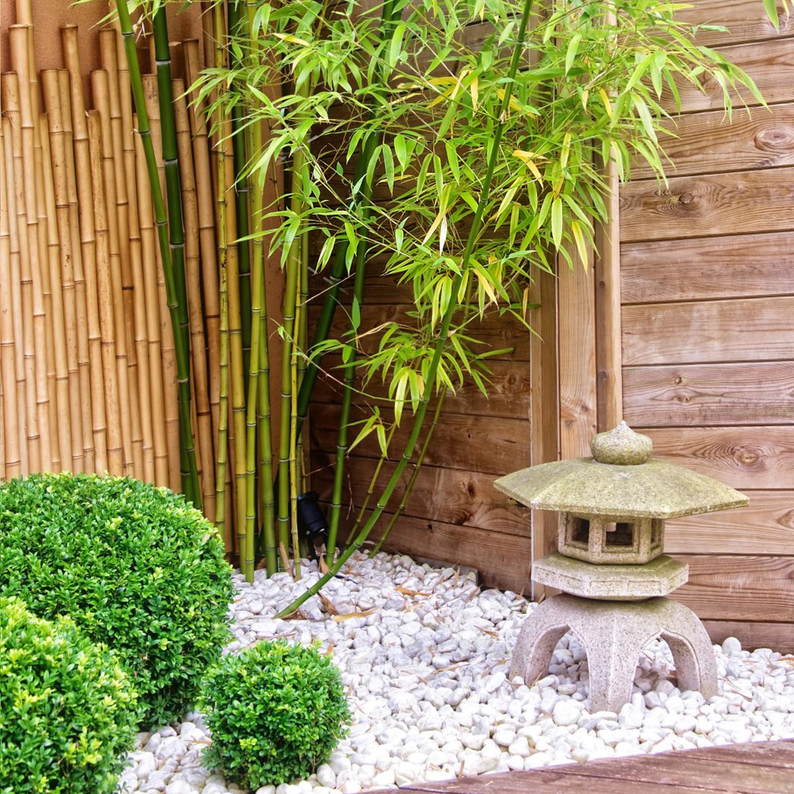FANTIAN pathway edged with white rocks offering low-maintenance curb appeal