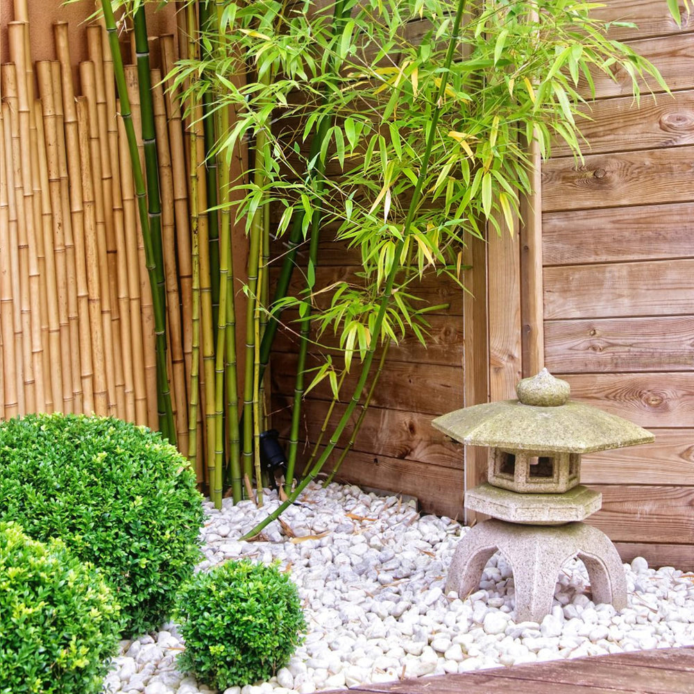 FANTIAN pathway edged with white rocks offering low-maintenance curb appeal