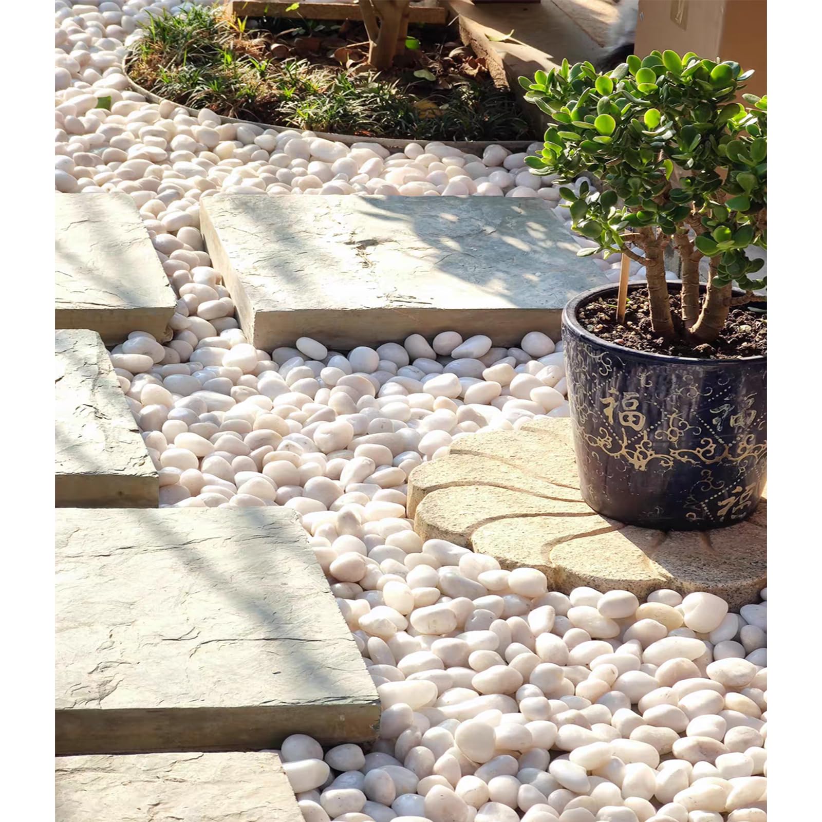 FANTIAN pebbles used as drainage layer in pot, helps water flow