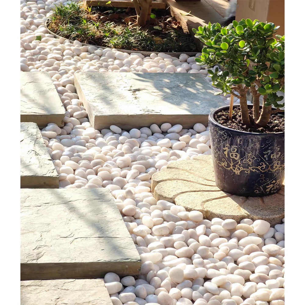 FANTIAN pebbles used as drainage layer in pot, helps water flow