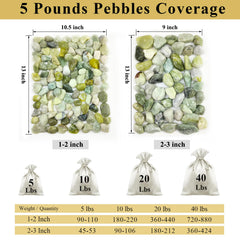 FANTIAN pebbles in glass vase used as filler to stabilize stems and beautify display