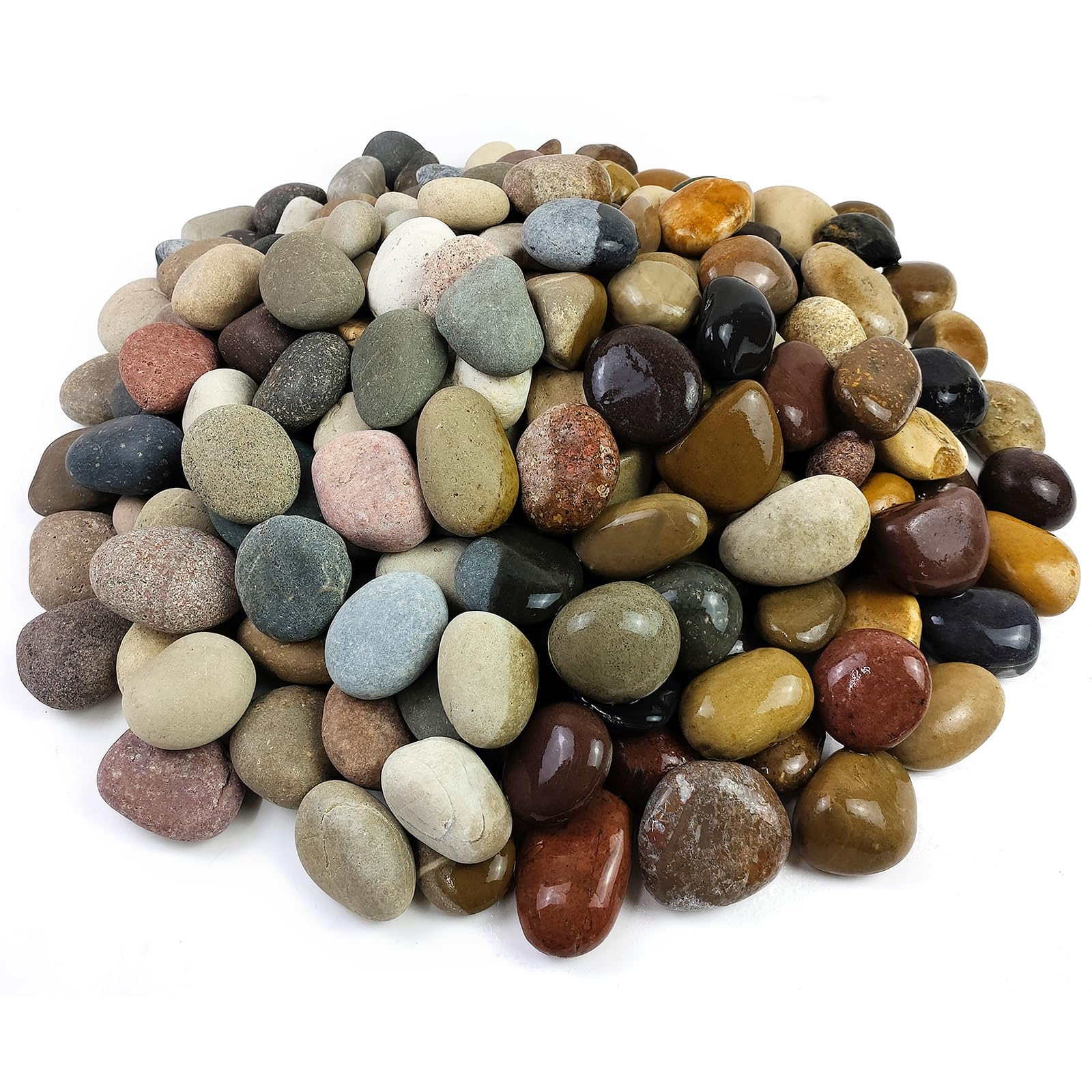 FANTIAN pebbles in plant pot creating tidy topdressing and moisture retention