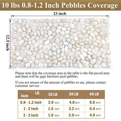 FANTIAN pebbles in plant pot, decorative topdressing improves presentation