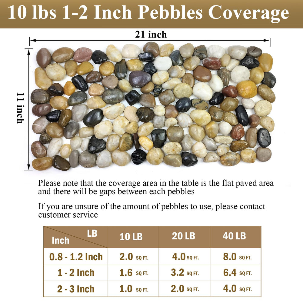 FANTIAN pebbles topping a succulent pot providing neat drainage and decorative look