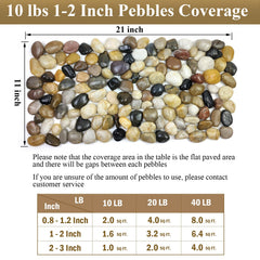 FANTIAN pebbles topping a succulent pot providing neat drainage and decorative look