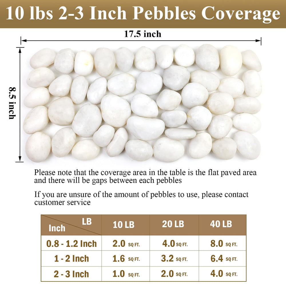 FANTIAN pebbles in a planter adding drainage and attractive top dress