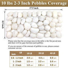 FANTIAN pebbles in a planter adding drainage and attractive top dress