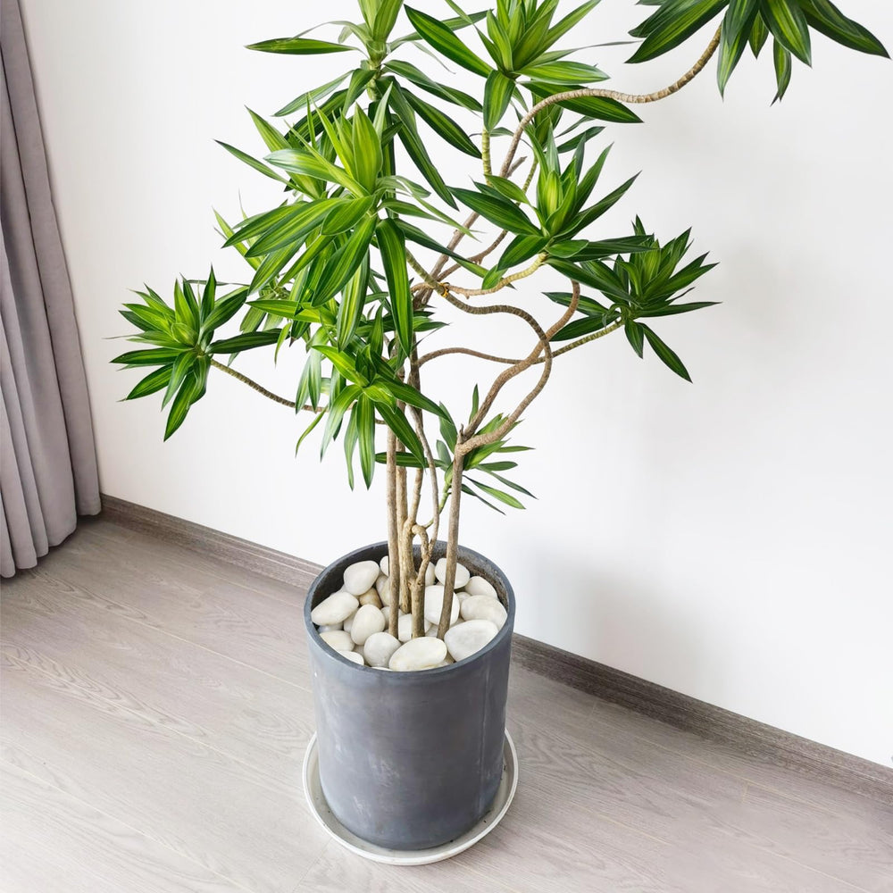 FANTIAN pebbles as vase filler, clean look supports floral arrangements