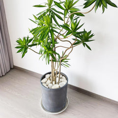FANTIAN pebbles as vase filler, clean look supports floral arrangements