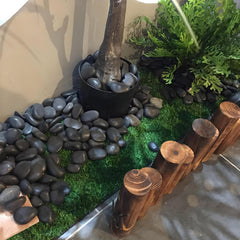 FANTIAN pebbles used as planter top layer providing clean look