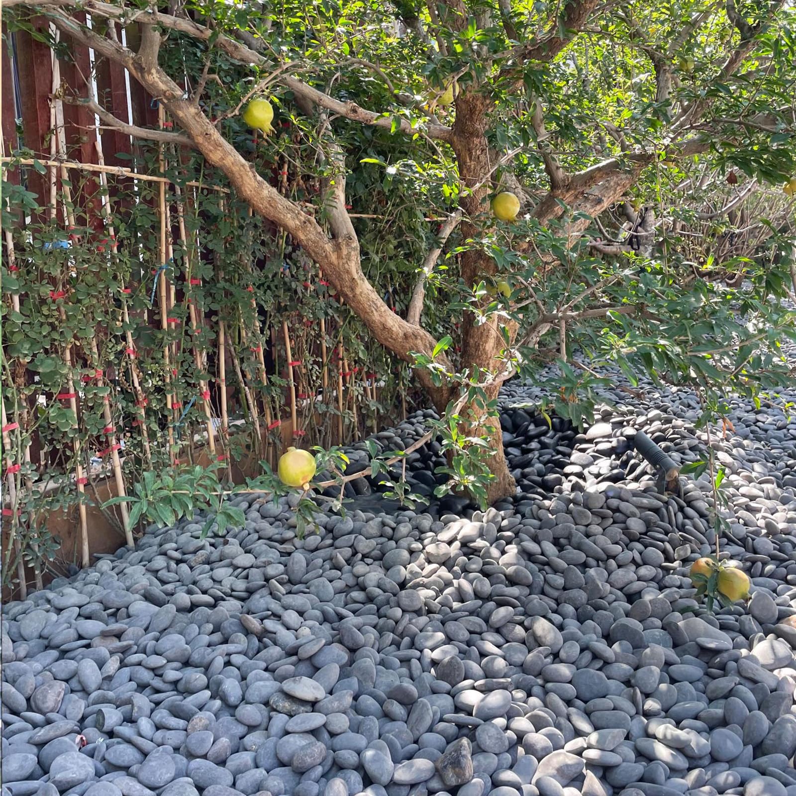 FANTIAN pebbles inside a reptile habitat showing safe, flat resting surfaces benefit
