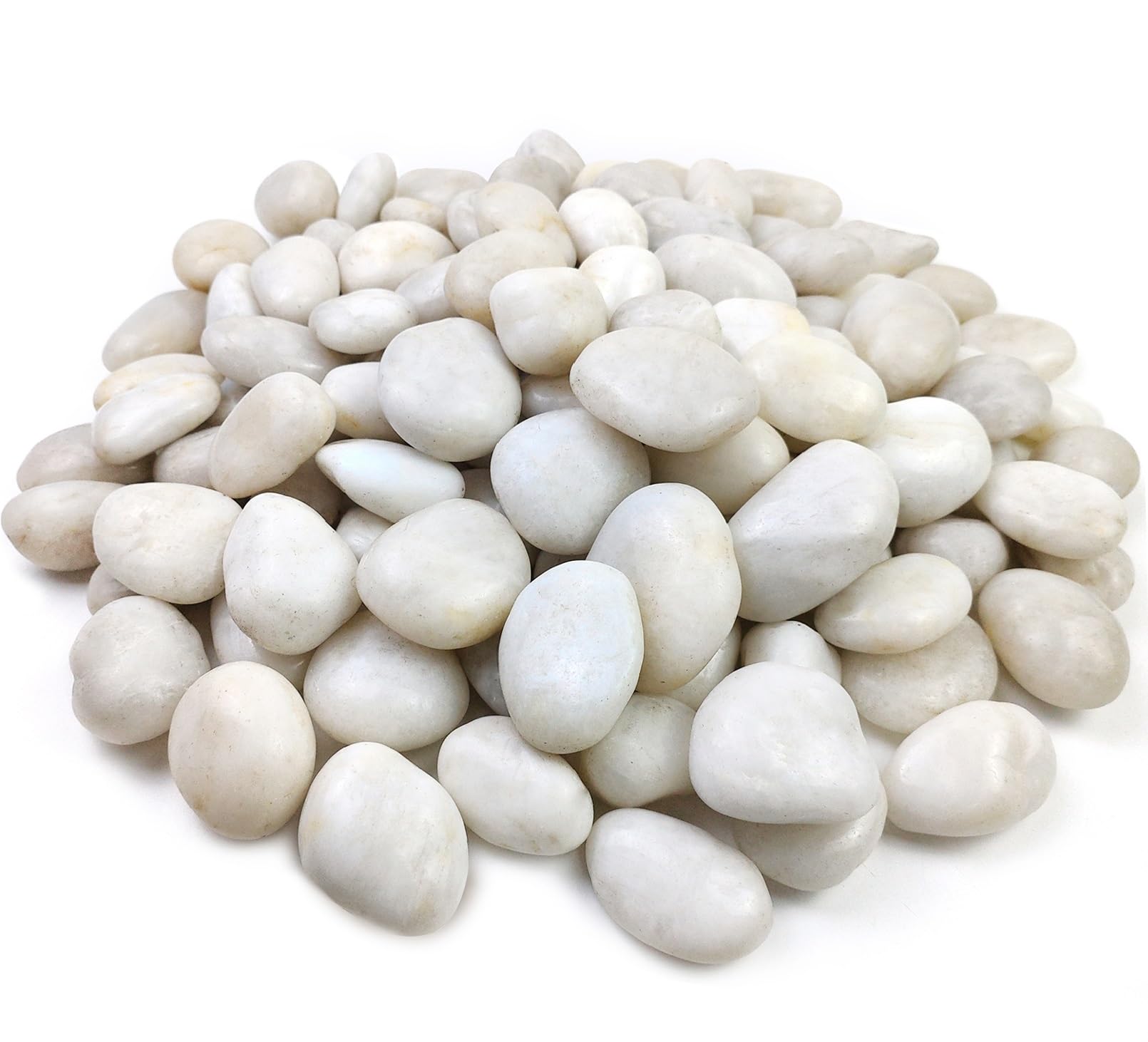 FANTIAN hand holding stones to show 2–3 inch size and scale