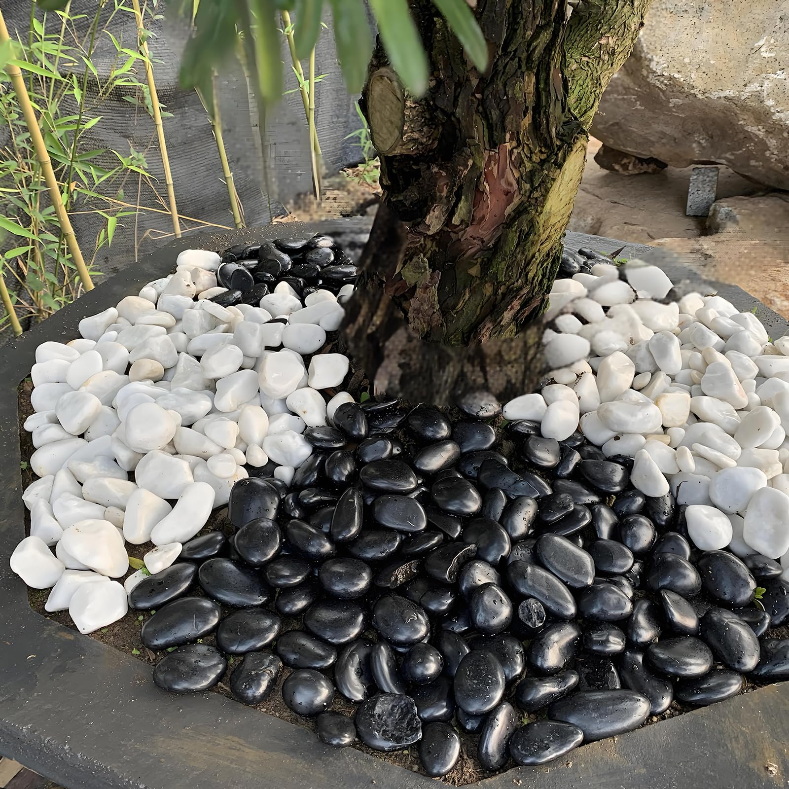FANTIAN hand holding pebbles showing 1–2 inch size scale and consistency
