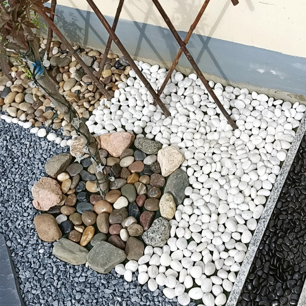 FANTIAN pebbles beside a ruler showing 1.5–2.5 inch size for scale clarity
