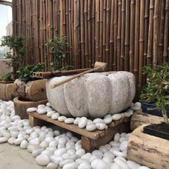 FANTIAN stones in aquarium after rinsing showing safe decorative aquatic use benefit